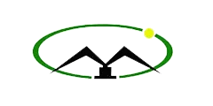 Inner Mongolia Yidon - Logo klien Guowei Chemical China